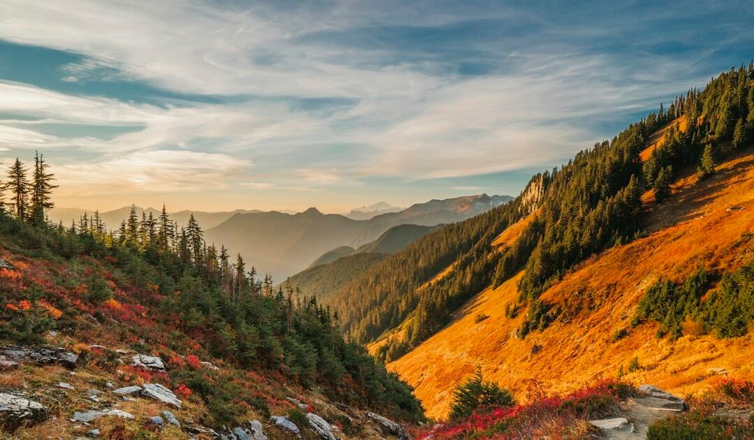 Choosing a Hiking Headlamp for Shorter Fall Days: Beam, Battery, and Trail Safety
