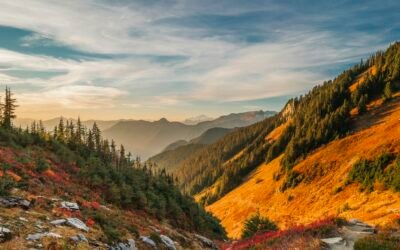 Choosing a Hiking Headlamp for Shorter Fall Days: Beam, Battery, and Trail Safety