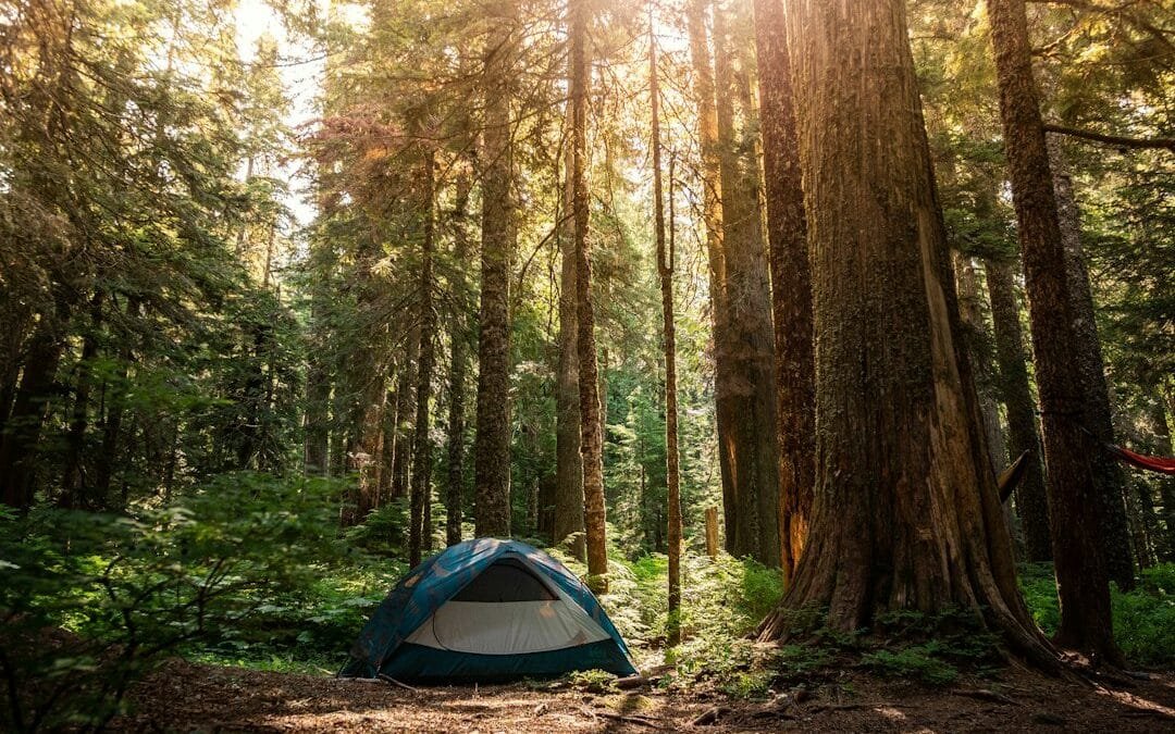 Cold Under Your Sleeping Bag? Choose a Sleeping Pad as Part of the Whole System