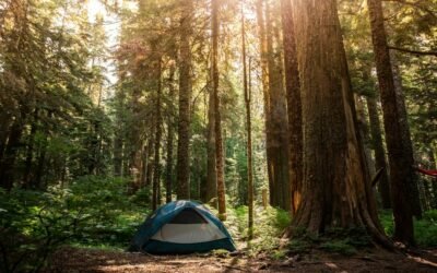 Cold Under Your Sleeping Bag? Choose a Sleeping Pad as Part of the Whole System