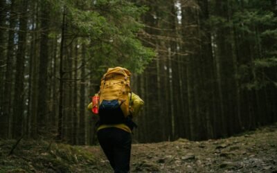 Don’t Pack Away the Problem: A Camping Gear Reset After Every Trip
