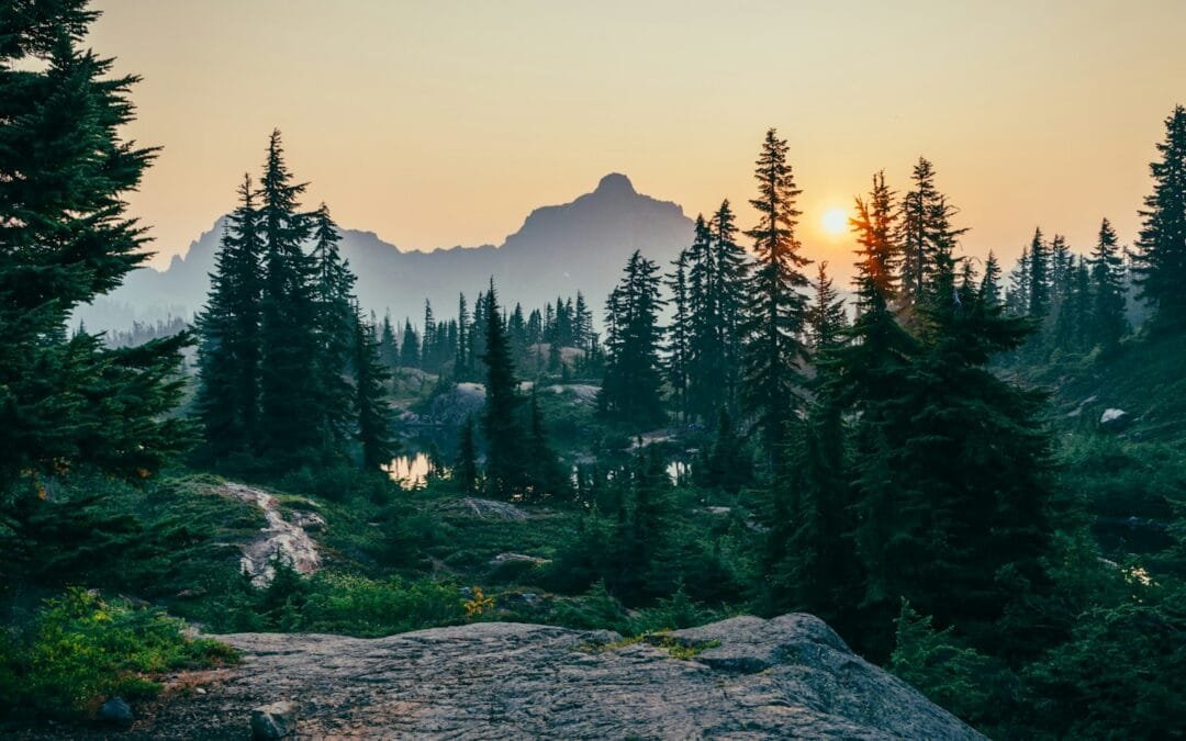 Buying a Cabin or Off-Grid Property: 15 Hidden Costs Buyers Forget to Budget For